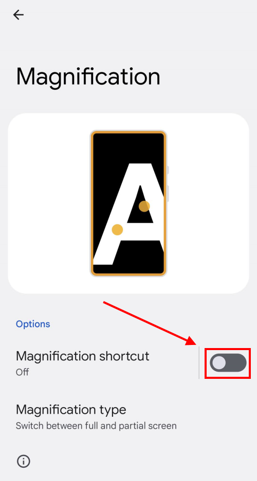 Tap the toggle switch for Magnification shortcut